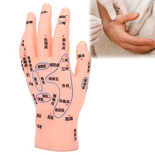 ZJchao Hand Acupuncture Model, Hand Acupuncture Point Model Left Hand Acupunc...