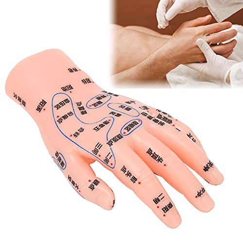 ZJchao Hand Acupuncture Model, Hand Acupuncture Point Model Left Hand Acupunc...