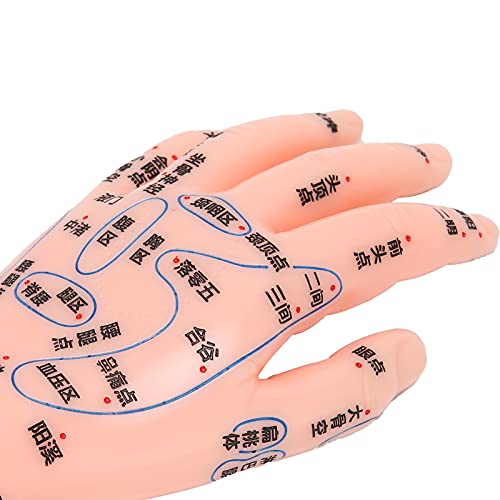 ZJchao Hand Acupuncture Model, Hand Acupuncture Point Model Left Hand Acupunc...