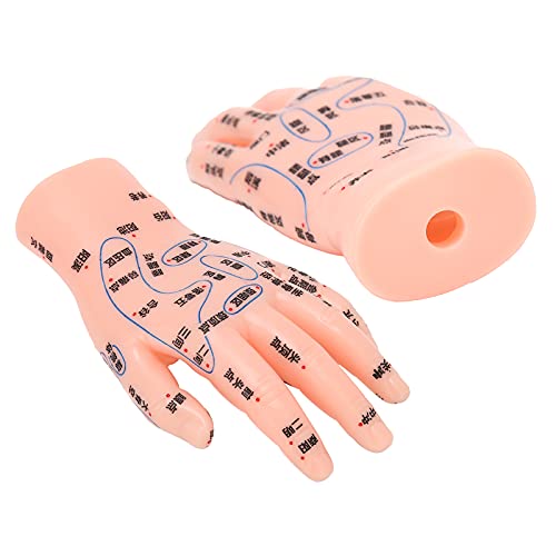 ZJchao Hand Acupuncture Model, Hand Acupuncture Point Model Left Hand Acupunc...