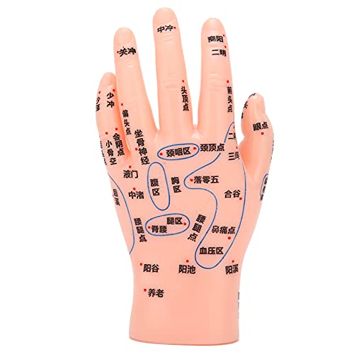 ZJchao Hand Acupuncture Model, Hand Acupuncture Point Model Left Hand Acupunc...