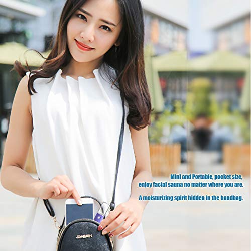 Mini Facial Mister, Portable Sprayer with USB Charging Port, Nano Spray Humid...