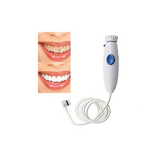 ZWIFEJIANQ Oral Hygiene Accessories, Replacement Hose Parts Handle Replacemen...