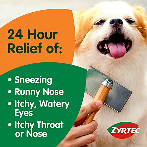 Zyrtec 24 Hour Allergy Relief Tablets, Antihistamine Allergy Medicine with 10...