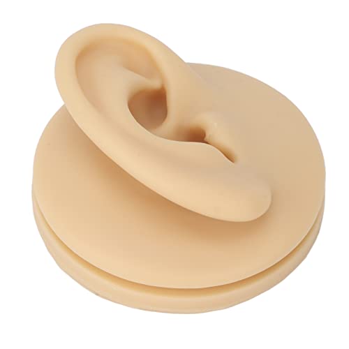 Silicone Ear Model, Soft Silicone Right Ear Model Ear Acupuncture Practice Mo...