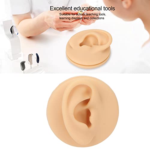 Silicone Ear Model, Soft Silicone Right Ear Model Ear Acupuncture Practice Mo...